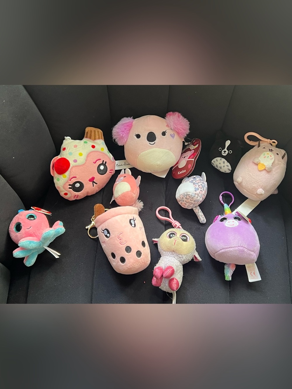 10 Small Plushies & Keychains